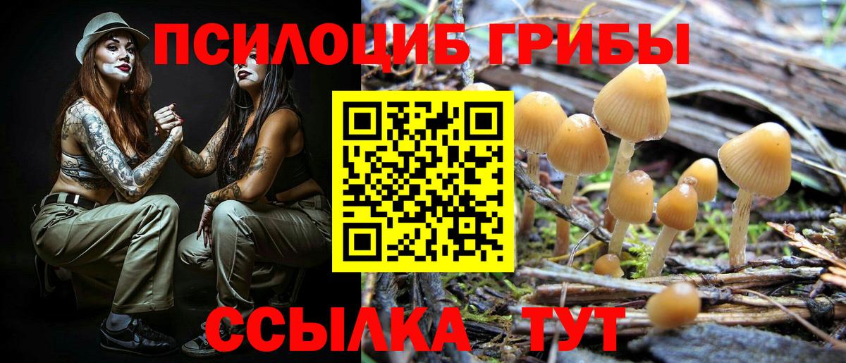 Новый Уренгой  Псилоцибиновые грибы GOLDEN TEACHER  Вход с VPN 
